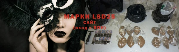 мдпв Володарск