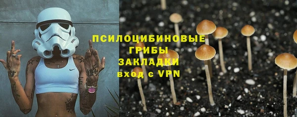 мдпв Володарск